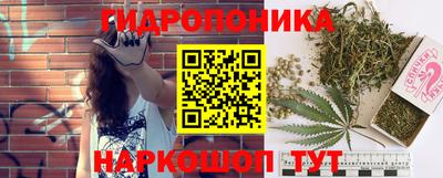 гидра Партизанск