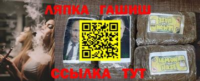 прущие грибы Пенза