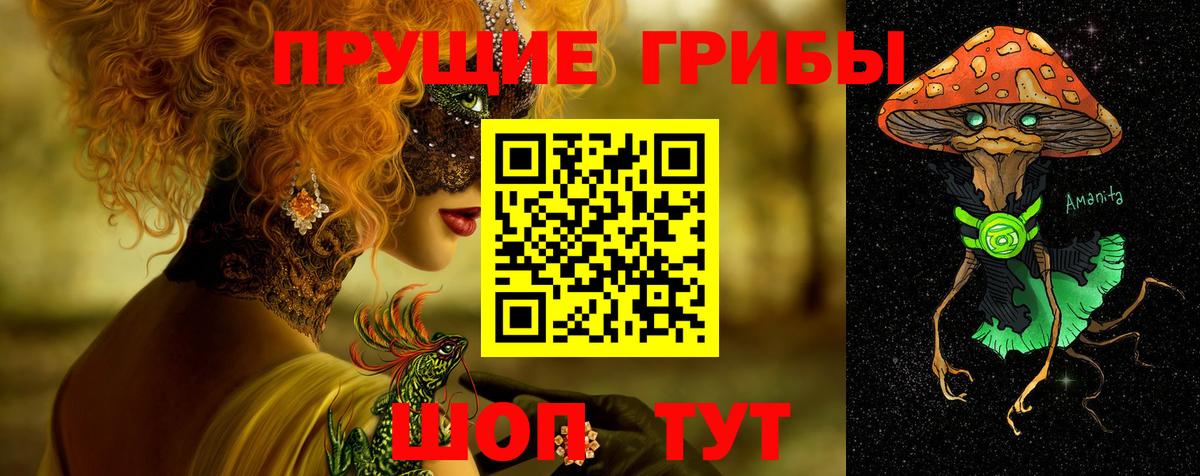 Новодвинск  Псилоцибиновые грибы Psilocybe  Вход с VPN  Псилоцибиновые грибы Psilocybe 