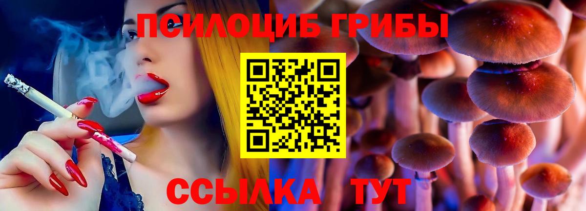 Галлюциногенные грибы Cubensis Новодвинск